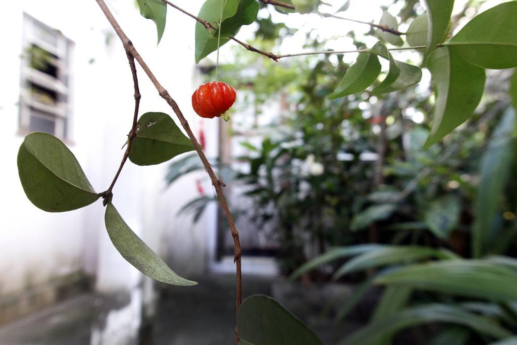 Casa Em Meio A Natureza - Ideal Para Casal Bed & Breakfast Rio de Janeiro Exterior foto